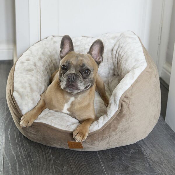 Dog butterfly bed Thumbnail
